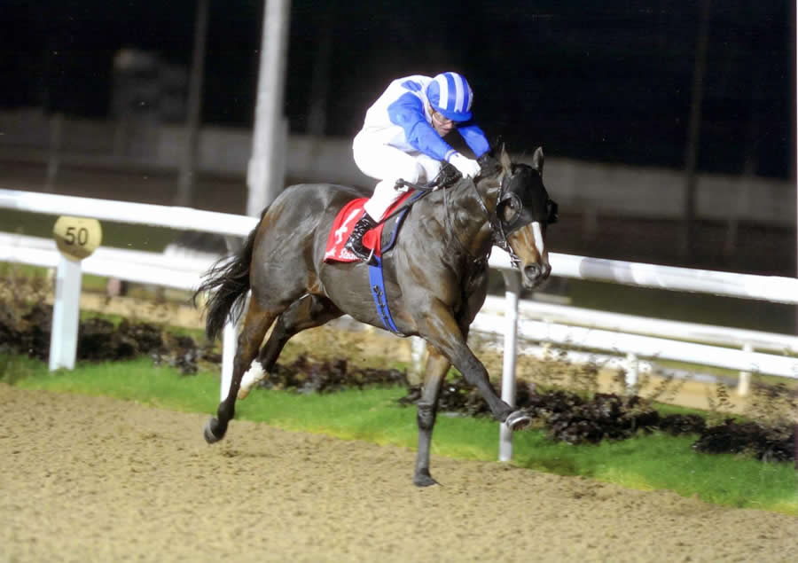 The Reaper Dundalk Fri 22nd Oct 2010
